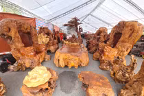 Lóa mắt bộ bàn ghế dát vàng 24k giá 3 tỷ... chờ đại gia rước về