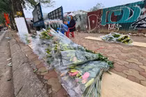Hoa ly rớt giá thê thảm, bày bán la liệt ở vỉa hè Hà Nội