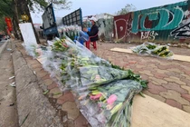 Hoa ly rớt giá thê thảm, bày bán la liệt ở vỉa hè Hà Nội