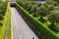 “Sốt xình xịch” với bức tường xanh mướt giữa lòng Hà Nội