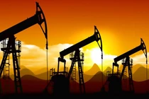 Mặt hàng được ví như “vàng đen”, Việt Nam góp mặt 2 món