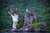 Thêm tour tham quan rừng trâm cổ ở Vườn Quốc gia Bái Tử Long