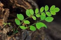 Khi gặp chuyện xui xẻo phải tránh xa 3 người này