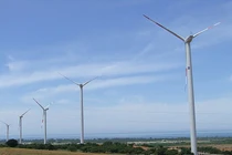 Cháy tuabin điện gió 70 tỷ: Việt Nam có bao nhiều nhà máy điện gió