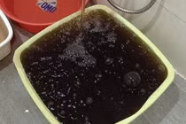 Hà Nội: Cư dân chung cư Hoà Phát kêu cứu vì nước sinh hoạt bẩn như nước cống