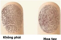 Nhìn vào số hoa tay biết ngay tính cách