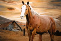 Thời tới cản không nổi: 4 con giáp làm đâu thắng đó, sang năm 2023 phát tài