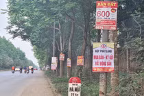 Sốt đất “điên đảo” từ Bắc vào Nam: Nguy cơ vỡ "bong bóng" bất động sản