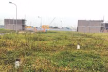 Với một tỷ đồng tiết kiệm, sau tết tôi có nên đầu tư đất nền?