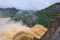 Soi hồ sơ Cty Điện Cửu Long thuê đất xây nhà máy thủy điện Đắk Di 2