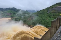 Soi hồ sơ Cty Điện Cửu Long thuê đất xây nhà máy thủy điện Đắk Di 2