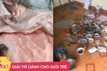 Trở lại phòng trọ sau Tết, sinh viên "xỉu ngang, xỉu dọc" vì ám ảnh