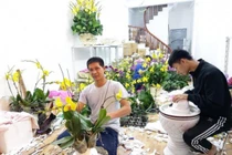 Ghép lan hồ điệp thuê ngày Tết kiếm dăm chục triệu dễ như chơi