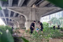 Hàng trăm người tham gia dọn rác ở Hà Nội 