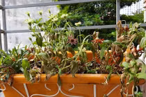 Cổ nhân dạy: Trong nhà đặt 3 món, đuổi tài, đuổi tiền, đuổi lộc