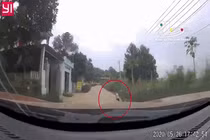 Video: Tài xế phản xạ thần tốc cứu sống bé trai 