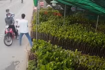 Video: Hai kẻ trộm chó chĩa súng dọa bắn chủ nhà