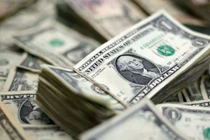 Tỷ giá USD, Euro ngày 22/1: USD giảm giá