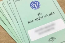 Cienco, HANHUD, Abipha làm ăn kiểu gì... dẫn top DN chây ỳ nợ BHXH?