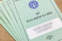 Cienco, HANHUD, Abipha làm ăn kiểu gì... dẫn top DN chây ỳ nợ BHXH?