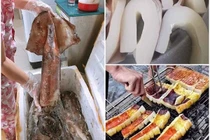 Sự thật về loại mực siêu to đang hút khách 