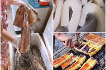 Sự thật về loại mực siêu to đang hút khách 