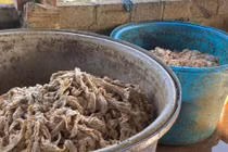 Phát khiếp: 7,5 tấn lòng lợn nhiễm dịch tả châu Phi nhập vào Việt Nam