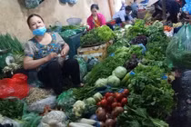 Rau xanh tăng giá: Một bữa cơm tiền rau đắt ngang tiền thịt