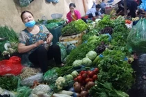 Rau xanh tăng giá: Một bữa cơm tiền rau đắt ngang tiền thịt