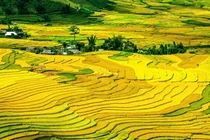 Thời tiết càng mát mẻ, vận khí của 4 con giáp này càng khởi sắc