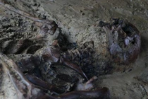 Khai quật bộ xương 2.000 năm tuổi, hé lộ sự thật chết chóc 