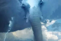 Trắc nghiệm tâm lý: Điều đầu tiên bạn nhìn thấy là gì?