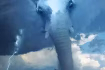 Trắc nghiệm tâm lý: Điều đầu tiên bạn nhìn thấy là gì?