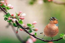 3 con giáp có mối quan hệ đặc biệt với tiền bạc trong năm Nhâm Dần