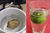 Nhìn vợ buồn tay pha cốc chanh gừng, chồng xin thề bỏ nhậu nhẹt