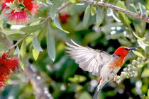 Sinh ngày Âm lịch này cuối 2022 đón may mắn, thư thái chờ tăng chức