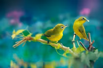 Ai sinh ngày Âm lịch này, âm thầm nỗ lực, năm nay không nghèo