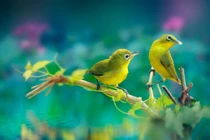 Ai sinh ngày Âm lịch này, âm thầm nỗ lực, năm nay không nghèo