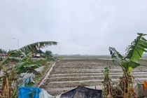 Dự án cụm công nghiệp của công ty Đại Phong bị phản đối: Huyện Sóc Sơn nói gì?