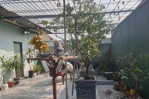 Công trình trái phép ở khu tập thể Hồ Việt Xô: Ai chịu trách nhiệm?-kỳ 3