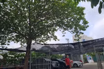 Lô đất D22 Dịch Vọng Hậu bị “xẻ thịt” kinh doanh trái phép bất chấp lệnh của chủ tịch phường?