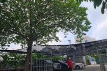 Lô đất D22 Dịch Vọng Hậu bị “xẻ thịt” kinh doanh trái phép bất chấp lệnh của chủ tịch phường?