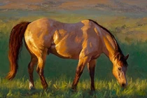 Tử vi tuần mới (30/5 - 5/6): Top 3 con giáp qua cơn đại hạn, vận may tới ào ào