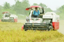 Soi năng lực Cty Trung An của tổng GĐ Phạm Thái Bình phát ngôn “sốc” về gạo bẩn