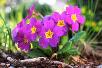 Trẻ sinh vào 4 khung giờ Âm lịch này từ nhỏ gặp nhiều may mắn