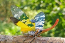 Tròn mắt kinh ngạc top sinh vật vô cùng kỳ dị ở Việt Nam