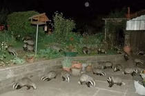 Những bức hình khiến người xem ám ảnh dù chúng hoàn toàn bình thường