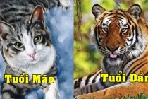 4 tuổi trúng số đổi đời năm 2023, 1 tuổi đụng đâu mất tiền đó