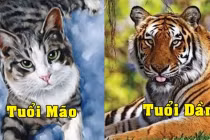 4 tuổi trúng số đổi đời năm 2023, 1 tuổi đụng đâu mất tiền đó