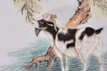 Tháng 5 Âm lịch: 4 tuổi như Rồng cưỡi mây, làm 1 hưởng 10